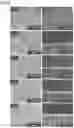 Fig. 07 - ZEOLITE MEMBRANE AND SEPARATION MEMBRANE