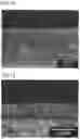Fig. 12 - ZEOLITE MEMBRANE AND SEPARATION MEMBRANE