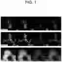 Fig. 02 - CATALYST CONTAINING AU-PT ALLOY, METHOD FOR PREPARING THEREOF AND METHODS FOR SYNTHESIZING OF HYDROGEN PEROXIDE USING THE SAME