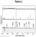 Fig. 02 - Morphologically controlled synthesis of ferric oxide nano/micro particles
