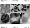 Fig. 03 - Morphologically controlled synthesis of ferric oxide nano/micro particles