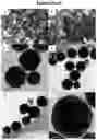 Fig. 05 - Morphologically controlled synthesis of ferric oxide nano/micro particles