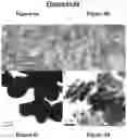 Fig. 09 - Morphologically controlled synthesis of ferric oxide nano/micro particles