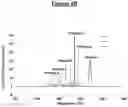 Fig. 12 - Morphologically controlled synthesis of ferric oxide nano/micro particles
