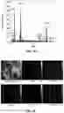 Fig. 08 - Composition and method for treating dye wastewater