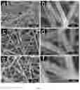 Fig. 02 - Visible light responsive titanium dioxide nanowire/metal organic skeleton/carbon nanofiber membrane and preparation method and application thereof
