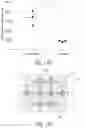Fig. 18 - Fluidic patterning of hydrogel partitions