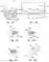 Fig. 20 - Fluidic patterning of hydrogel partitions