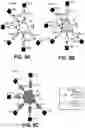 Fig. 08 - Microfluidic network