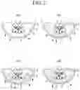 Fig. 04 - Microfluidic device