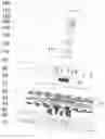Fig. 02 - Showerhead