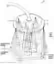 Fig. 01 - IMMERSIVE SHOWERHEAD