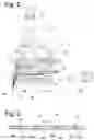 Fig. 03 - METHOD FOR PROTECTING AN ADHESIVE DELIVERY APPARATUS, AND THIS SAME