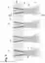 Fig. 04 - METHOD FOR PROTECTING AN ADHESIVE DELIVERY APPARATUS, AND THIS SAME