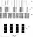 Fig. 09 - Determining print orders