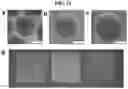 Fig. 08 - Process for isotropic structural colour printing and an apparatus for detecting a target substance in the gaseous phase