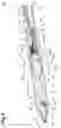 Fig. 06 - Feeding pencil