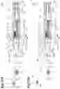 Fig. 22 - Feeding pencil