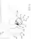 Fig. 02 - Bicycle control device