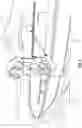 Fig. 05 - Dinghy made from separate floating elements