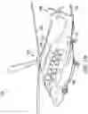 Fig. 03 - Puck cover