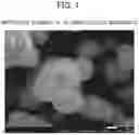 Fig. 02 - Mordenite zeolite and production method therefor