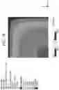 Fig. 11 - Shaped glass laminates