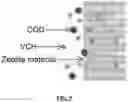 Fig. 06 - Molecular sieves mediated unsaturated hydrcarbon separation and related compositions, materials, methods and systems