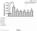 Fig. 09 - Novel Compound Hexadecaphlorethol Isolated From Ishige Okamurae And Use Thereof