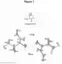 Fig. 02 - Benzoylglycine derivatives and methods of making and using same