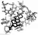 Fig. 01 - Hydroxamate triterpenoid derivatives