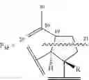 Fig. 22 - Hydroxamate triterpenoid derivatives