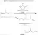 Fig. 08 - Method for synthesis of 9-cis-beta-carotene and formulations thereof