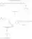 Fig. 09 - Method for synthesis of 9-cis-beta-carotene and formulations thereof