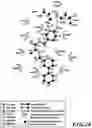 Fig. 27 - MASP-2 inhibitors and methods of use