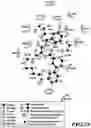 Fig. 29 - MASP-2 inhibitors and methods of use