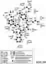Fig. 30 - MASP-2 inhibitors and methods of use