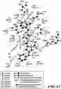 Fig. 35 - MASP-2 inhibitors and methods of use