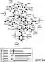 Fig. 40 - MASP-2 inhibitors and methods of use