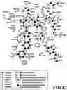 Fig. 43 - MASP-2 inhibitors and methods of use