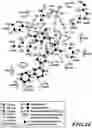 Fig. 45 - MASP-2 inhibitors and methods of use
