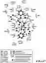 Fig. 48 - MASP-2 inhibitors and methods of use