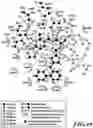 Fig. 50 - MASP-2 inhibitors and methods of use