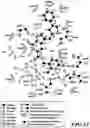 Fig. 52 - MASP-2 inhibitors and methods of use