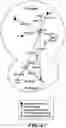 Fig. 67 - MASP-2 inhibitors and methods of use
