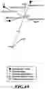 Fig. 69 - MASP-2 inhibitors and methods of use