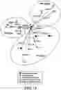Fig. 72 - MASP-2 inhibitors and methods of use