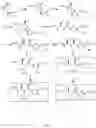 Fig. 07 - Conjugates of cell binding molecules with cytotoxic agents