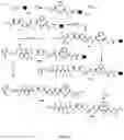 Fig. 27 - Conjugates of cell binding molecules with cytotoxic agents