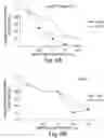 Fig. 07 - BIARYL COMPOSITIONS AND METHODS FOR MODULATING A KINASE CASCADE